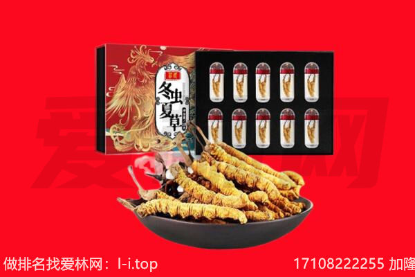 礼县回收虫草.jpg